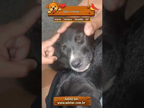Vídeo de sem nome 