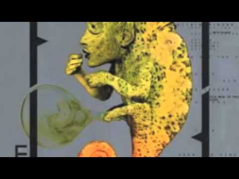 Video thumbnail for Colombian Necktie