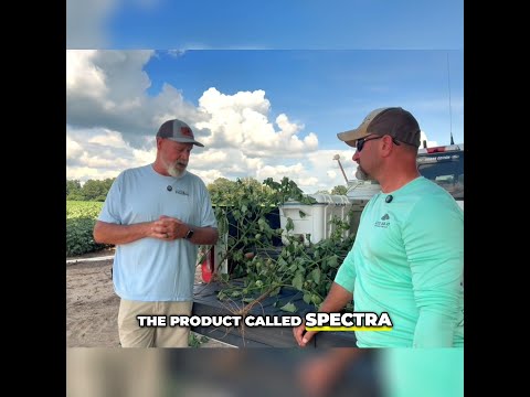 Spectra in Cotton: Can a Biological Really Beat Nematodes?