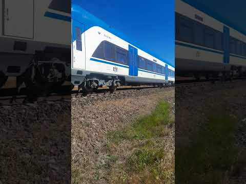 Tren Rápido Temuco victoria verano 2026