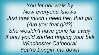 Taco - Winchester Cathedral Lyrics