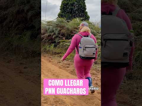 #viajera #colombiana #parati #fypシ #parquenacional #parquenatural #guacharo #huila #palestina #fyp