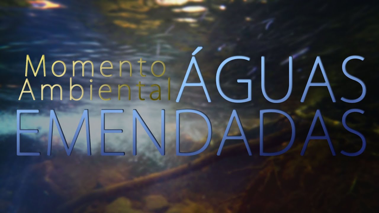 Águas Emendadas - Momento Ambiental