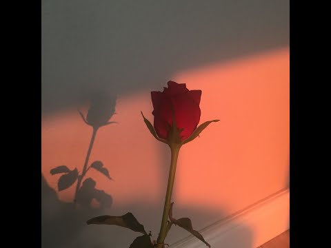 Gvne & Xmo - Tsetseg Mine