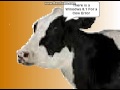 Cow Error 169  ANOTHER ANOTHER SHORT ERROR