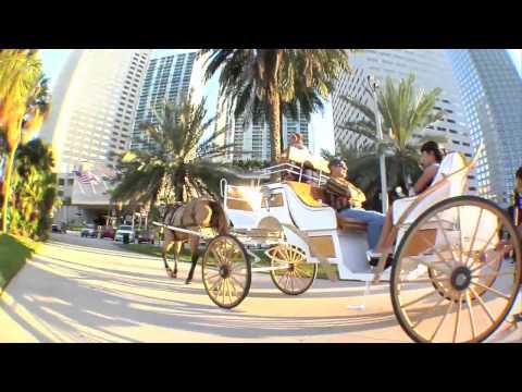 Chaz Ortiz: Exploring Miami (Part 1)