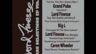 Lord Finesse - Fat for the 90s feat. a.g. (demo mix)
