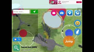 Clukr Phase 3 in Cat Sim Myan!