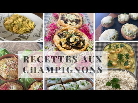 Stuffed mushrooms with goat cheese, pesto sauce and mozzarella