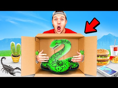 EXTREME What's In The Box Challenge!