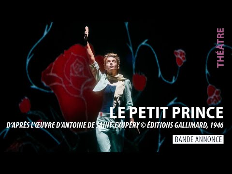 Bande annonce Le Petit Prince - Mise en scène François Ha Van 