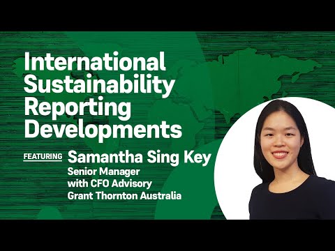 International Sustainability Reporting Developments