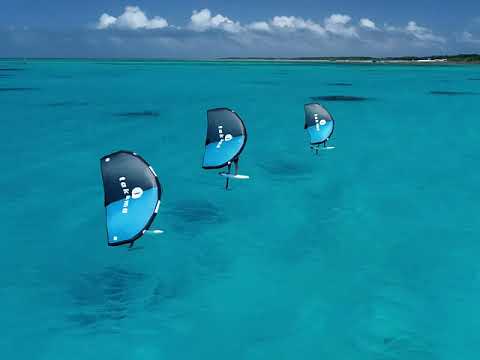 Takuma WK wing - Progress without Limits