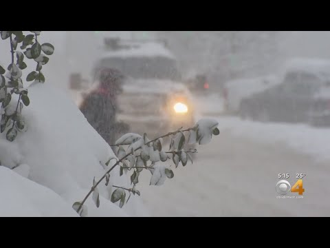 Historic Snow Totals Recorded In Fort Collins