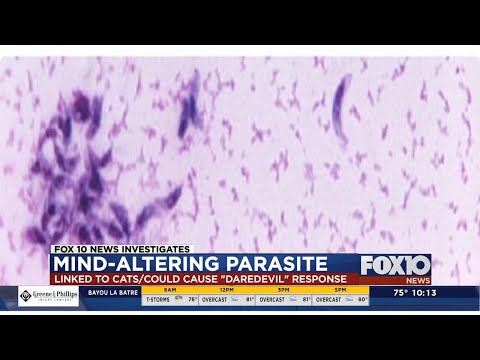 FOX10 News Investigates: Mind-Altering Parasite