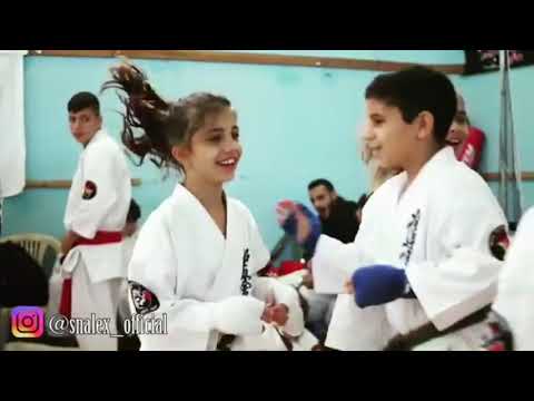 World Kyokushin Budokai Tournament Highlights
