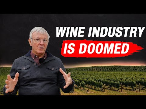 The Godfather of Wine Marketing | Meet Paul Wagner