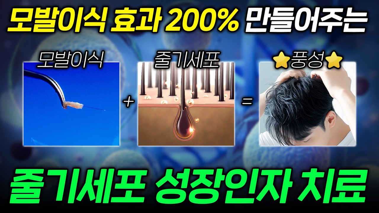 더원츠의원 유튜브