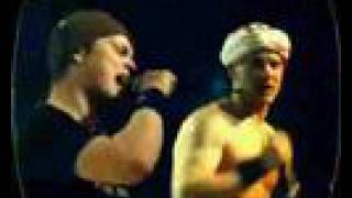 Malk de koijn - Musclebundt Vega 2003