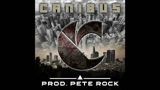 Canibus &amp; Pete Rock - Concourse P (Remix)