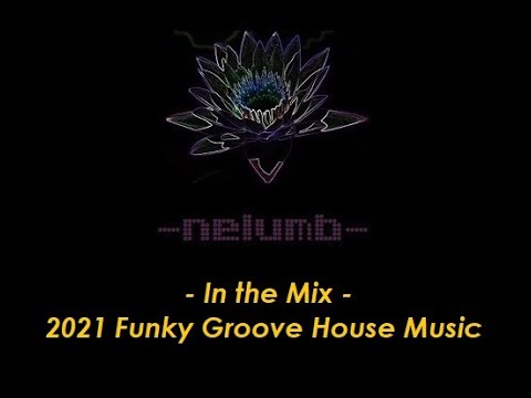 Nelumb - Funky House in the Mix