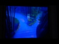 Opening To The Lion King 1995 VHS