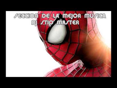 DJ STIP SECCION 24-08-2013