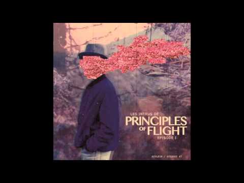 Principles of Flight  - Sculpin (Original Mix)