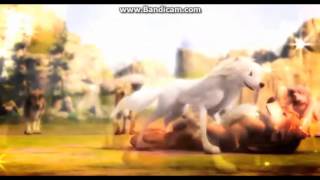 Alpha and Omega~Jealous (Nick Jonas)