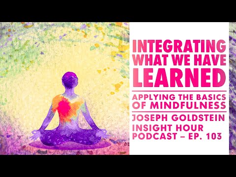 Joseph Goldstein – Insight Hour – Ep. 103 – Integrating What We Have Learned