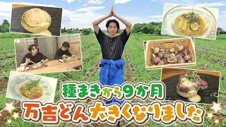 【ついに収獲!】澤夏が味わう極上の玉ねぎ「万吉どん」