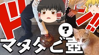 【人類の夢】手を1週間マタタビに漬けて作ったマタタビ毒手は猫からモテモテになるのか【ゆっくり実況】