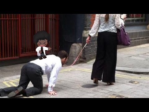 They are well house trained - SCP 1897