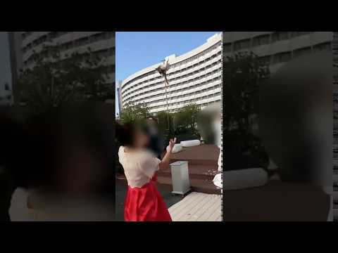 『ガチで腹立つ女 / ユメマナコ』｜mysta YouTube