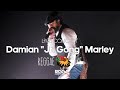 Damian Jr Gong Marley Live At Reggae Lake Festival Amsterdam 2024