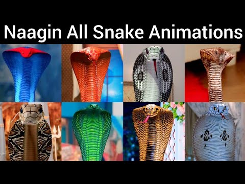 Naagin 1,2,3,4,5,6 All Snake Animations