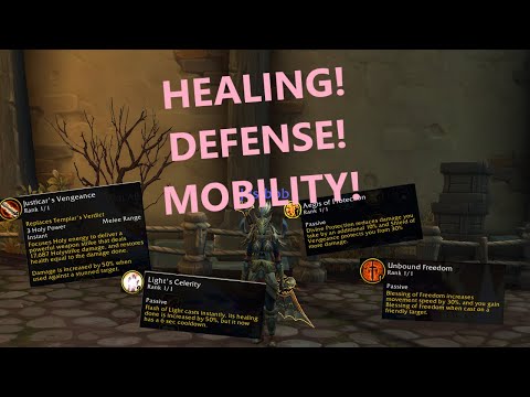 THE REST OF THE PALADIN CHANGES in 10.0.7!!