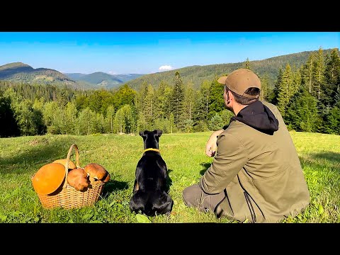 In the Carpathians for 24-Hours for mushrooms. Cooking them. Staying in the mountain house