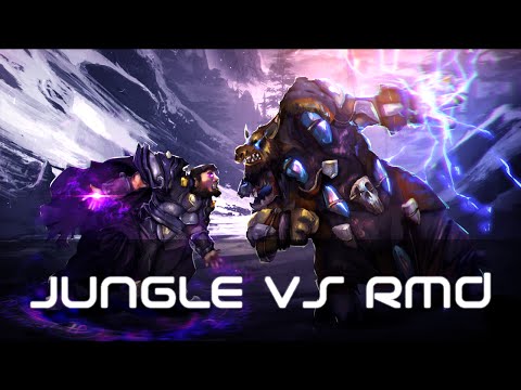 WoW | HPally Jungle Cleave VS RMD 2k3 MMR