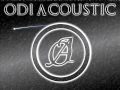 Odi Acoustic - I'm Lost Without You (Blink 182 ...