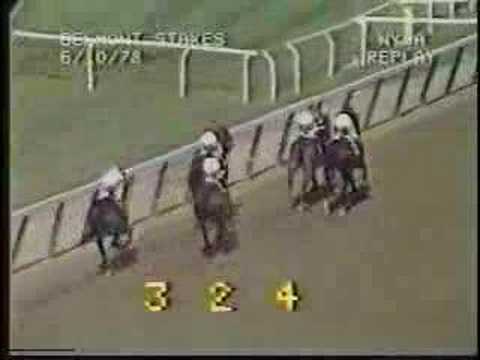 Affirmed v Alydar (All four 3-y-o meetings)