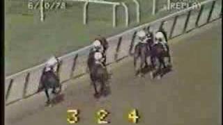 Affirmed v Alydar (All four 3-y-o meetings)