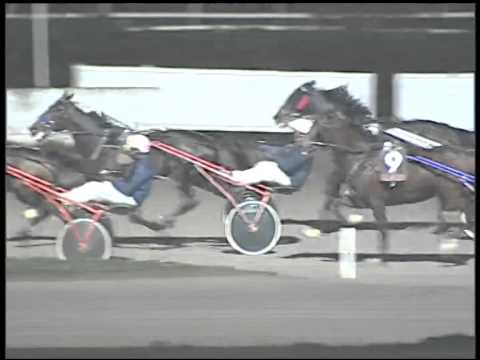 Trotto 04/12/2014 - 7° corsa