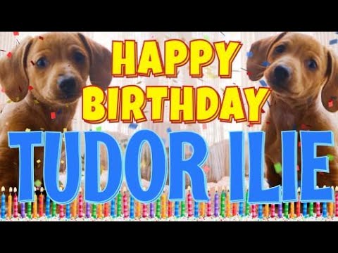 Happy Birthday Tudor Ilie! ( Funny Talking Dogs ) What Is Free On My Birthday