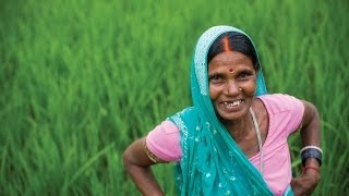 preview picture of video 'Empowering Women in Agriculture: Rural Women-led Vegetable Farming Project'