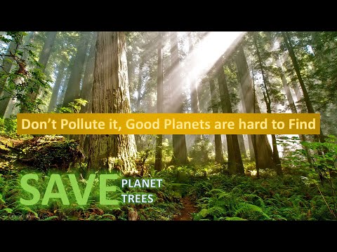 CorporateAthletesPro - 22112018 - DailyQuotes