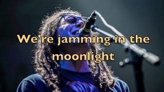 Tribal Seeds- Moonlight (Lyric Video)