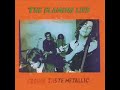 The Flaming Lips - Christmas at the Zoo