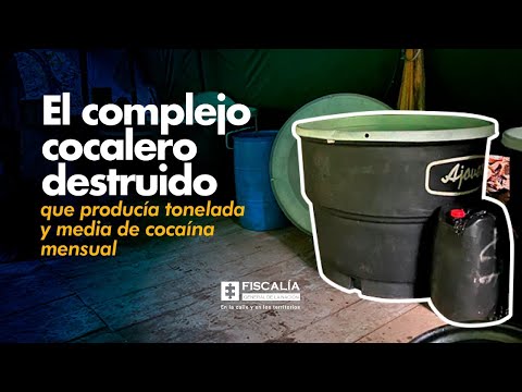 El complejo cocalero destruido que producía tonelada y media de cocaína mensual