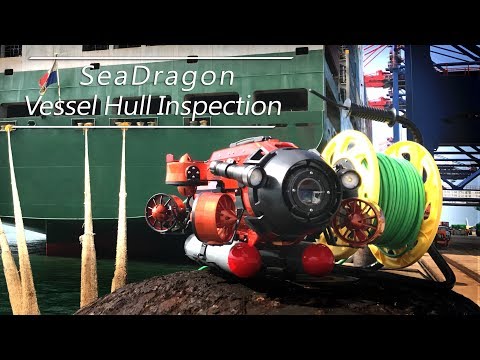 Sea Dragon-class ROVs Video 1493